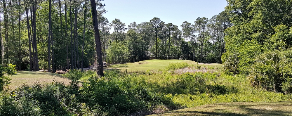 Enjoying Nature on the Par 3 13th Hole