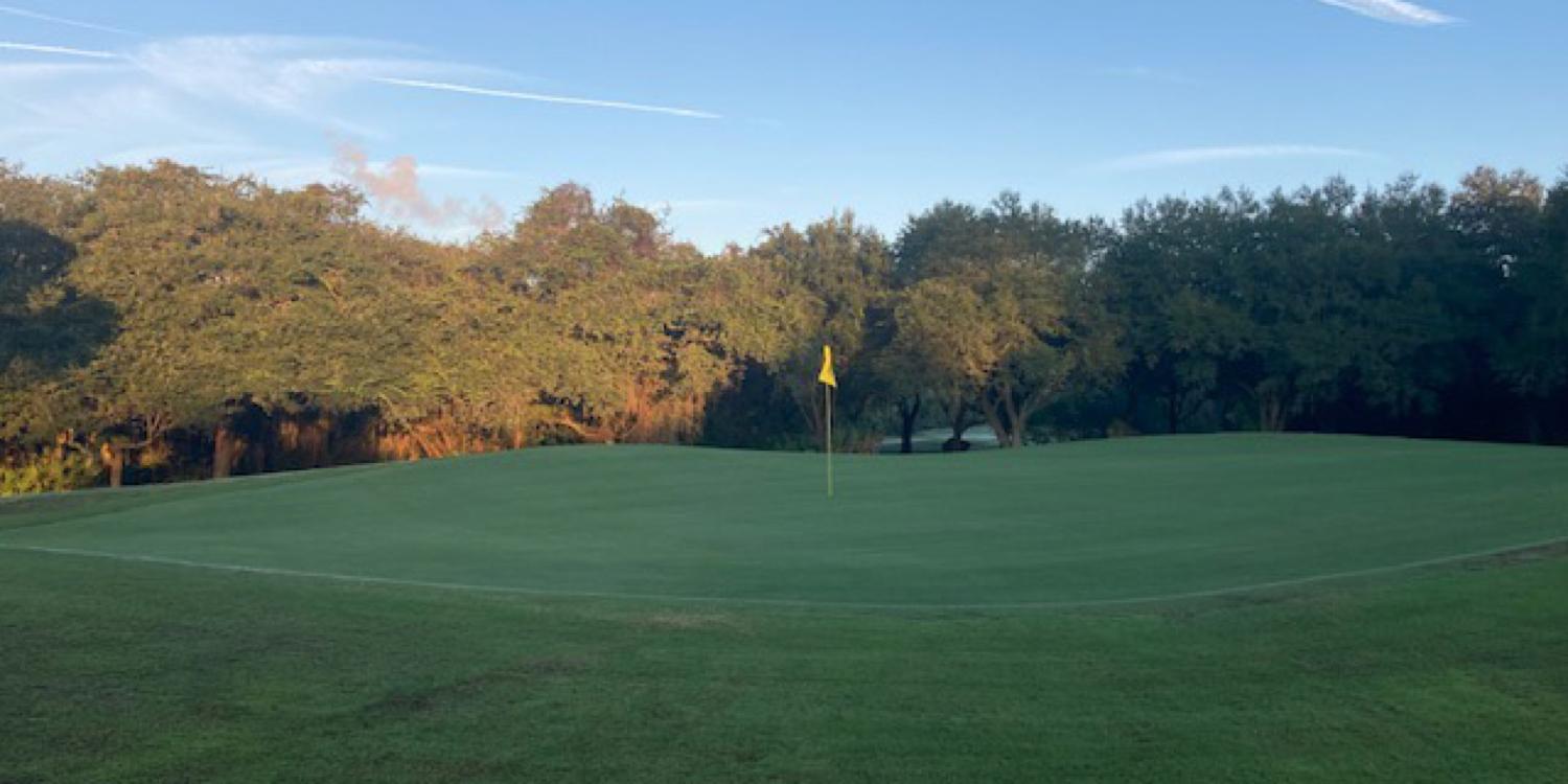 Halifax Plantation Reopening After Installation New Champion Bermuda Greens
