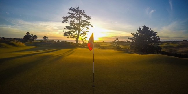 Bandon Preserve No. 11