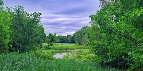 Fox Hills Golf & Banquet Center