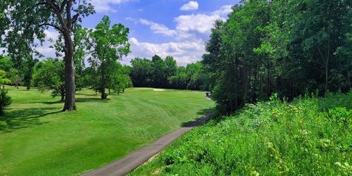 Vikings QB Kirk Cousins buys Allegan County golf course