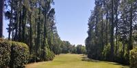 Windsor Parke Golf Club Review