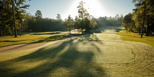 golf article