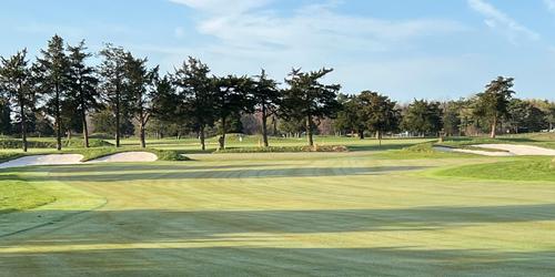 golf article