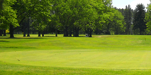 Cadillac Country Club