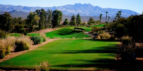 Desert Canyon Golf Club Golf Package