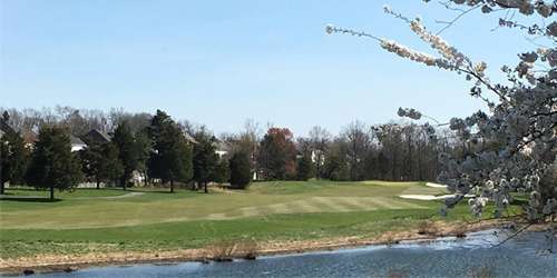 South Riding Golfers Club