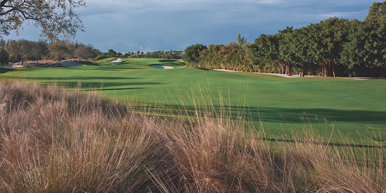 Emerald Dunes