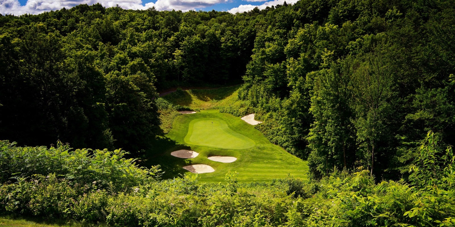 Treetops Resort - The Threetops Par 3 Course Golf Outing