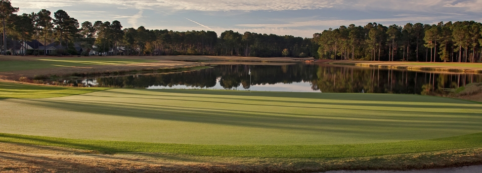 Brown Golf Packages